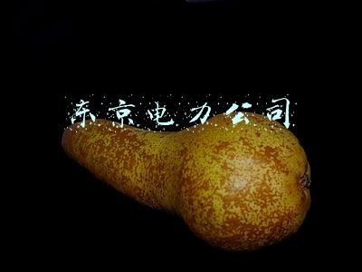 东京电力公司