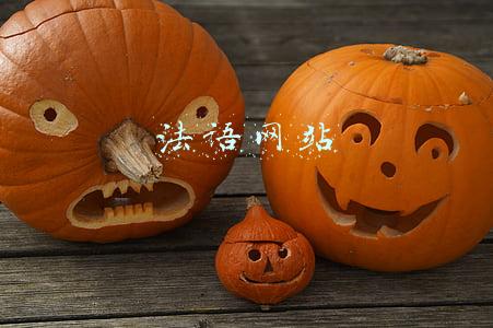 法语网站