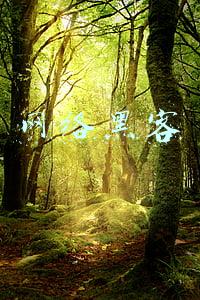 网络黑客