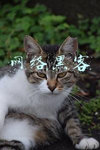 网络黑客是指什么(何谓“黑客”“红客”“灰客”“蓝客”)
