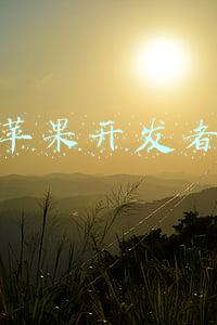 苹果开发者