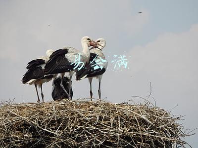 易会满