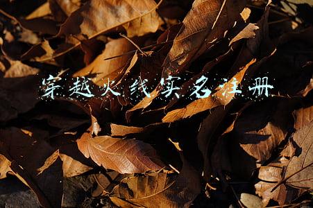 穿越火线实名注册