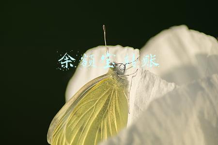 余额宝转账