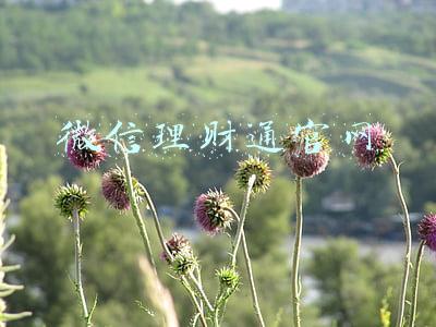 微信理财通官网