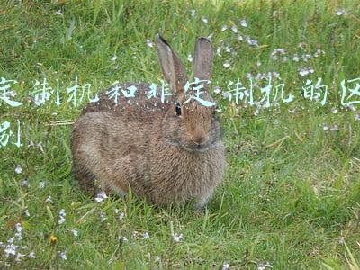 定制机和非定制机的区别