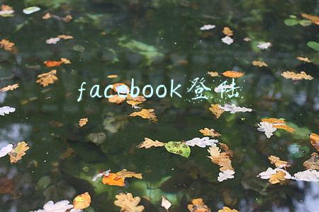 facebook登陆次数过多,暂时禁止(退出或删除账号仍会“追踪”用户，只有Facebook这样做？)