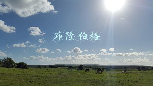 迈克尔·布隆伯格(布隆伯格文章：美从阿富汗一走了之失信于世界)