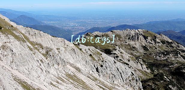 [db:tags]