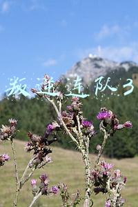 叛逆连队3
