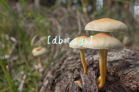 在包装设计中一定不能忽视的是？销量好的产品包装通常是？