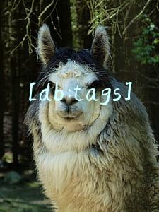 [db:tags]