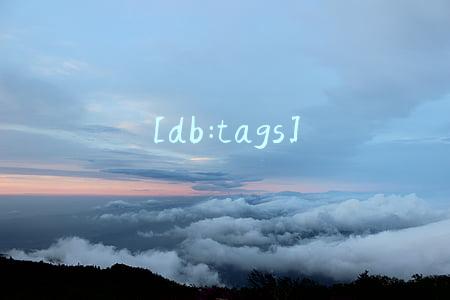 [db:tags]