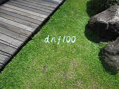 dnf100