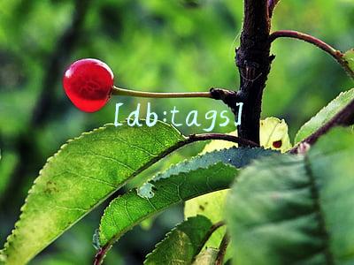 [db:tags]