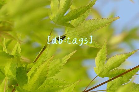 创意包装设计公司哪一家实力强 产品包装设计要懂哪些