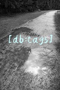 [db:tags]