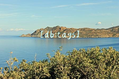 [db:tags]