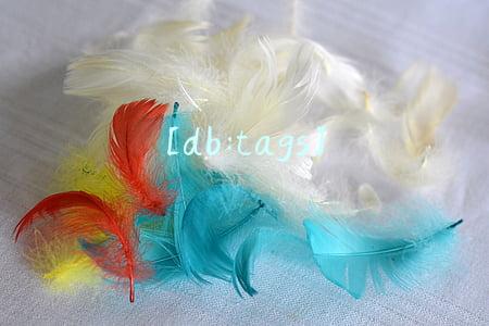 [db:tags]