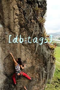 [db:tags]