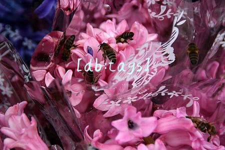[db:tags]