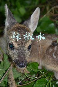 辣椒水
