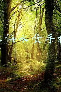 上海水货手机