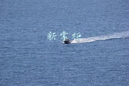 新掌柜