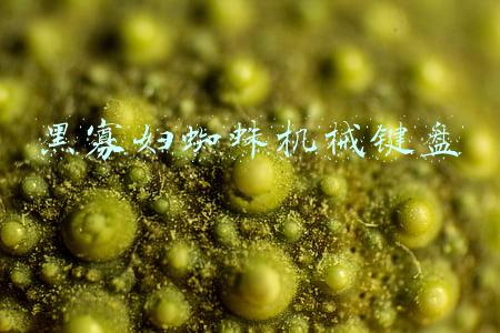 黑寡妇蜘蛛机械键盘