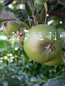 最大的返利网(返利网数字科技股份有限公司 2021年第三季度报告)