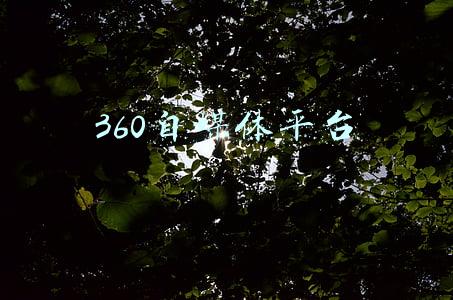 360自媒体平台