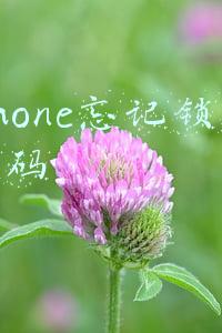 苹果手机忘记锁屏密码怎么办(iPhone锁屏密码忘了怎么办？)