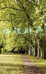网络理财产品