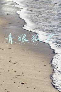 青眼狐尸