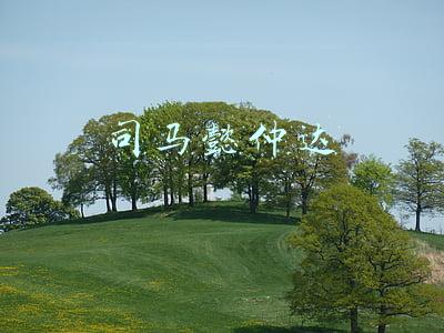 司马懿仲达