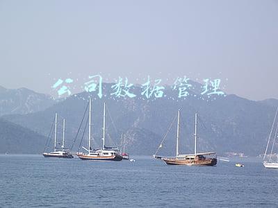 公司数据管理