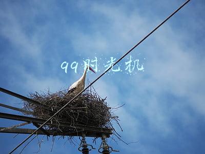 qq时光机