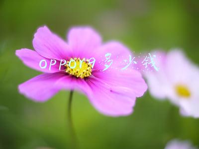 oppor9多少钱 oppor9多少钱