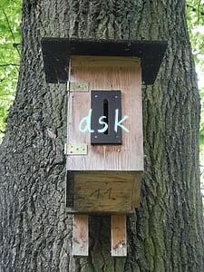 dsk