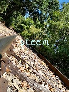 steem