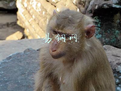 易钢网