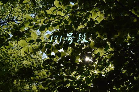 171号段是虚拟号段吗(工信部正式向虚拟运营商开放171号段)