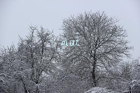 mut