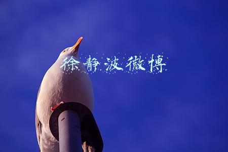 徐静波微博