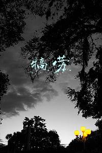 犒劳
