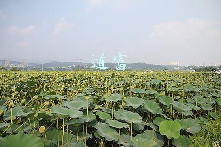 道富集团(道富准备回应有关其打算收购瑞信的报道)