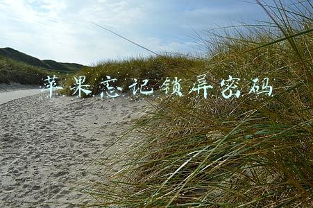 苹果手机忘记锁屏密码(苹果手机锁屏密码忘了，如何解开？)