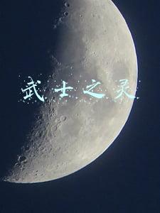 武士之灵