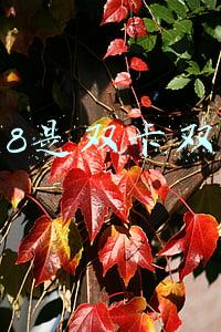 苹果8是双卡双待吗