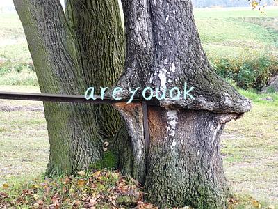 areyouok